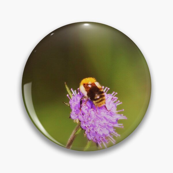 Item preview, bee on a meadow thistle designed and sold by Francespoppy.