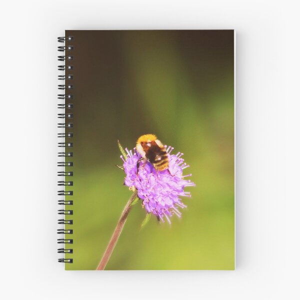 Item preview, bee on a meadow thistle designed and sold by Francespoppy.