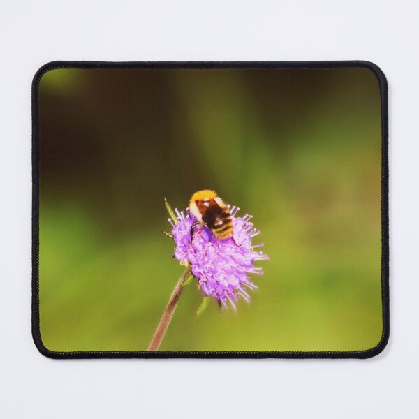 Item preview, bee on a meadow thistle designed and sold by Francespoppy.