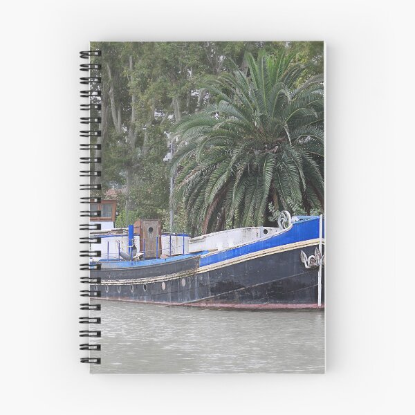Item preview, Peniche and palm designed and sold by Paul Pasco.