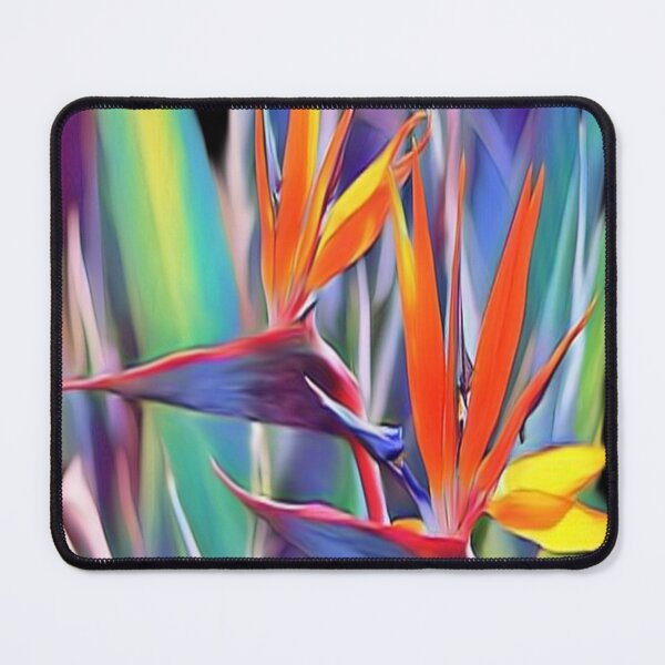 Item preview, Bold Bird of Paradise Graphic designed and sold by Paula Helit.