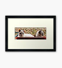 Hey Bro We May Not Be Alone Framed Print