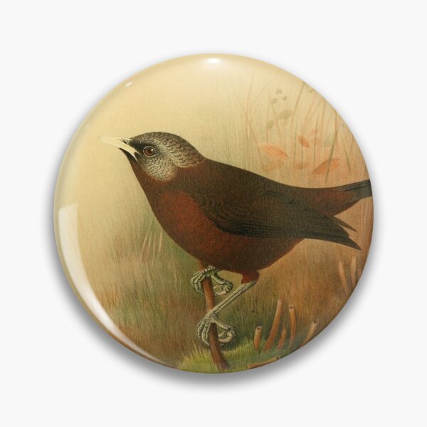 Item preview, African Babbler and Woosnam's Yellow Bulbul designed and sold by laguitan10.