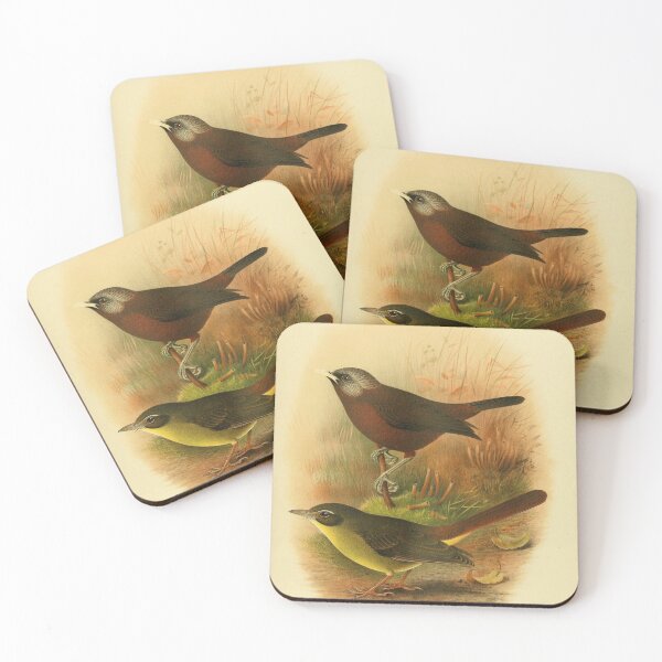Item preview, African Babbler and Woosnam's Yellow Bulbul designed and sold by laguitan10.
