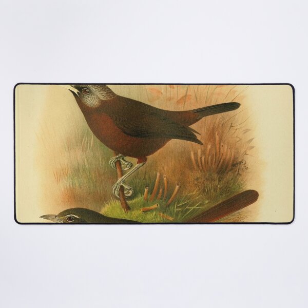 Item preview, African Babbler and Woosnam's Yellow Bulbul designed and sold by laguitan10.