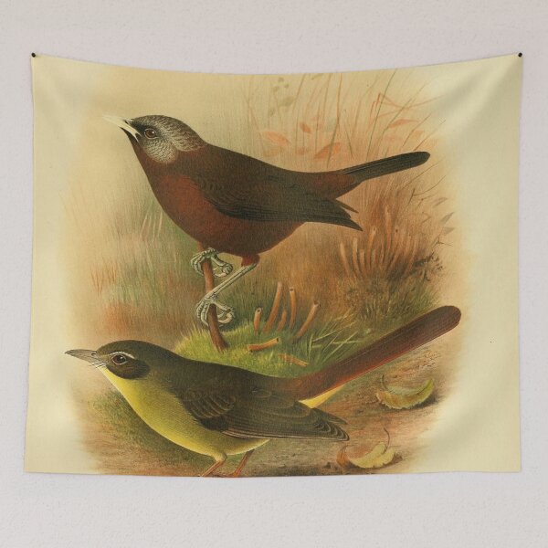 Item preview, African Babbler and Woosnam's Yellow Bulbul designed and sold by laguitan10.