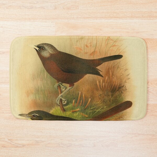 Item preview, African Babbler and Woosnam's Yellow Bulbul designed and sold by laguitan10.