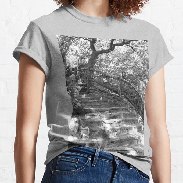 Stone Steps - Shakespeare Garden - Central Park, NYC Classic T-Shirt