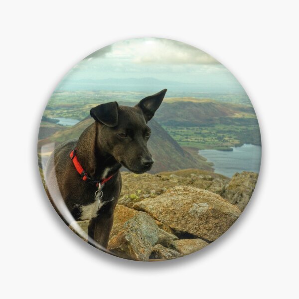Item preview, Tarn the Terrier.... on High Stile designed and sold by Jamie  Green.
