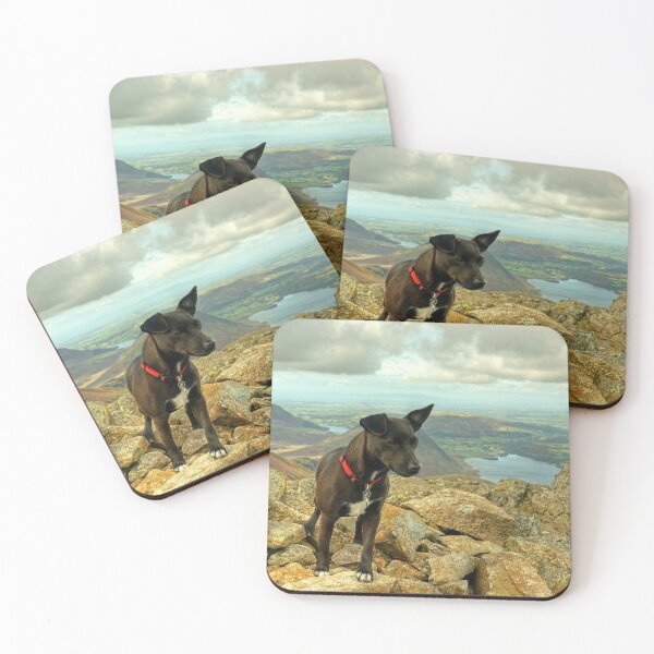 Item preview, Tarn the Terrier.... on High Stile designed and sold by Jamie  Green.