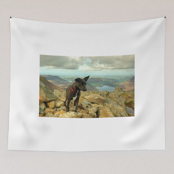 Item preview, Tarn the Terrier.... on High Stile designed and sold by Jamie  Green.