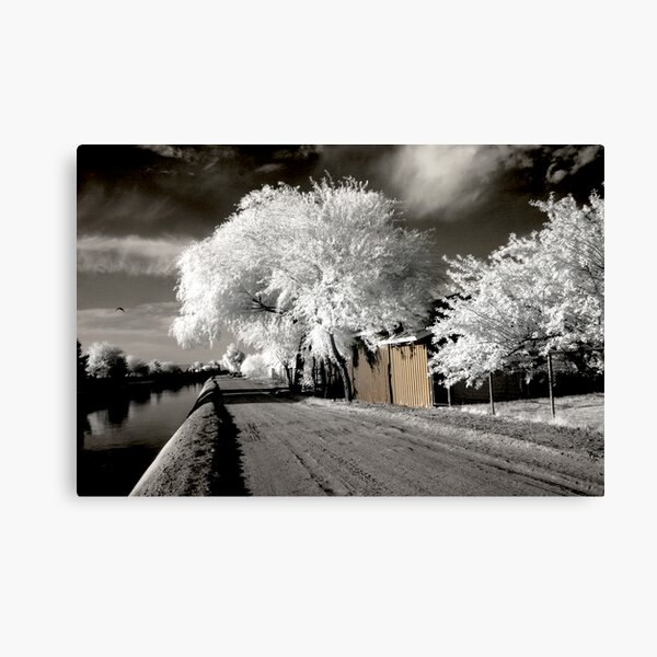 The Haunted Passage 2 Canvas Print