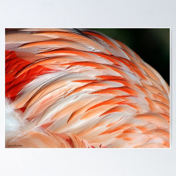 Item preview, Pink Plumes designed and sold by Sue  Cullumber.