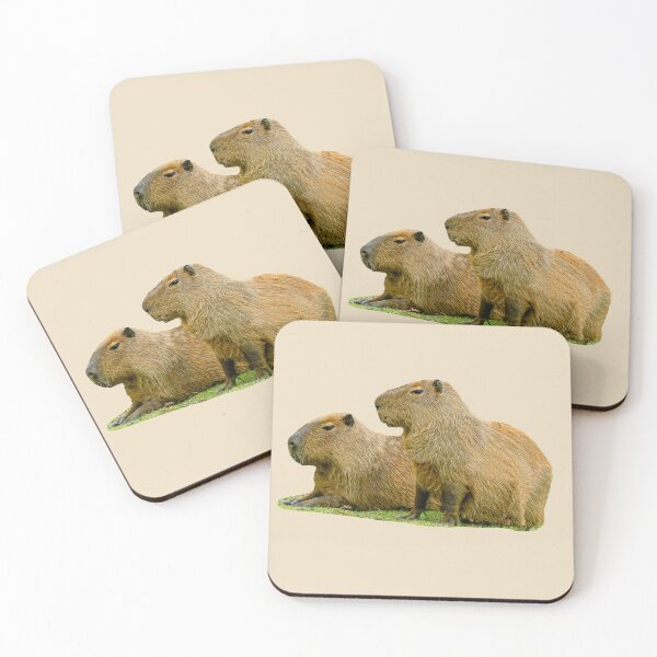 Item preview, Just posing Capybara pair designed and sold by Dalyndigital Photography.