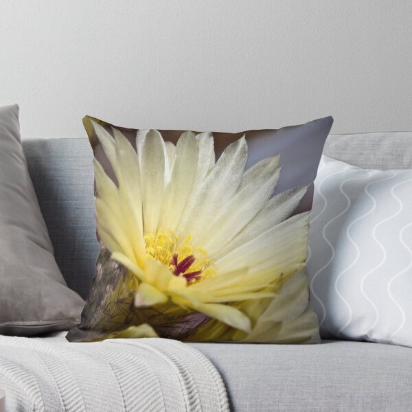 Item preview, Cactus flower 2 designed and sold by PhotosByHealy.