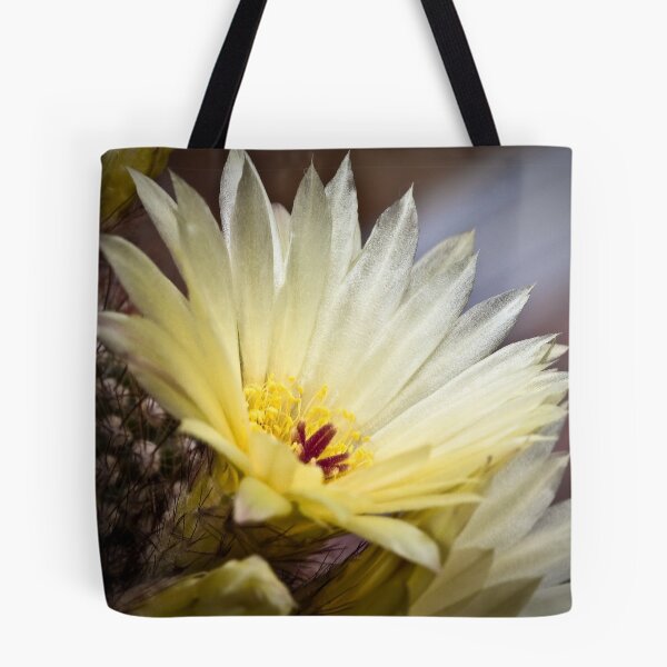 Item preview, Cactus flower 2 designed and sold by PhotosByHealy.