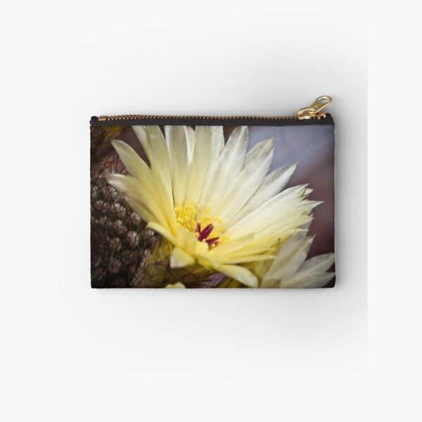 Item preview, Cactus flower 2 designed and sold by PhotosByHealy.