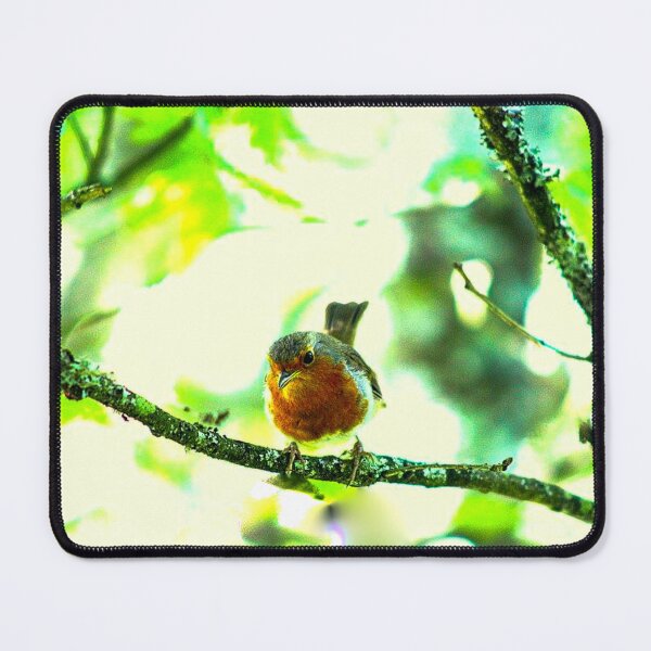 Item preview, robin designed and sold by Francespoppy.