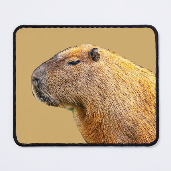 Item preview, Chilled Capy designed and sold by Dalyndigital Photography.
