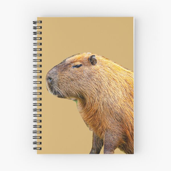 Item preview, Chilled Capy designed and sold by Dalyndigital Photography.
