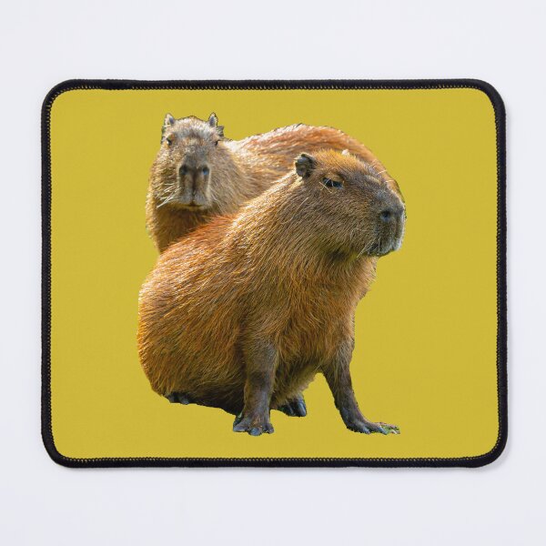 Item preview, Capy pair designed and sold by Dalyndigital Photography.