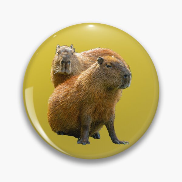 Item preview, Capy pair designed and sold by Dalyndigital Photography.