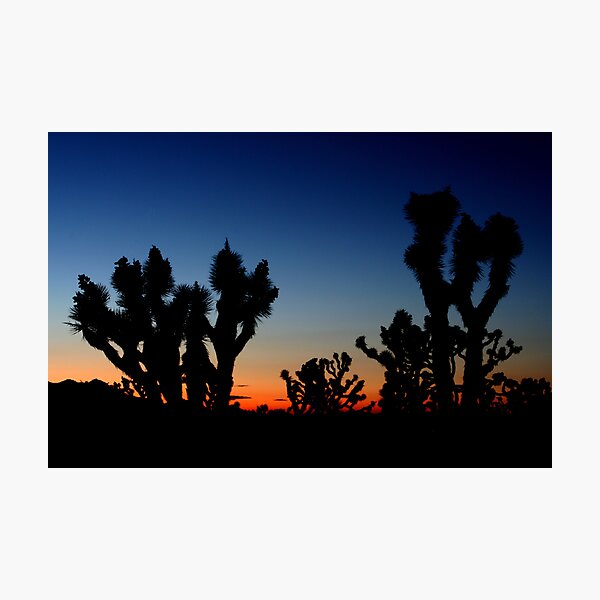 Item preview, Strange Silhouettes designed and sold by Laurie Search Fine Art Photography.