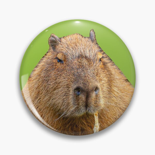 Item preview, Just browsing Capy designed and sold by Dalyndigital Photography.