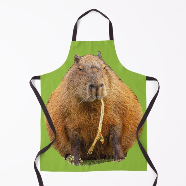 Item preview, Just browsing Capy designed and sold by Dalyndigital Photography.