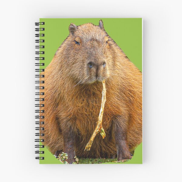Item preview, Just browsing Capy designed and sold by Dalyndigital Photography.