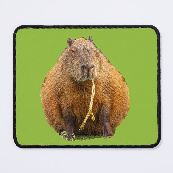 Item preview, Just browsing Capy designed and sold by Dalyndigital Photography.