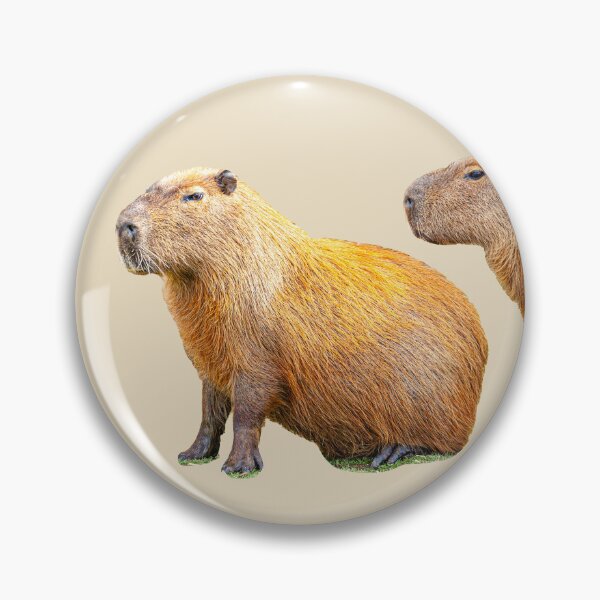 Item preview, I will watch your back Capybara  designed and sold by Dalyndigital Photography.