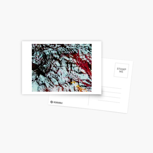 Reflections Postcard