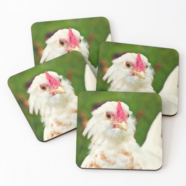 Item preview, White Barbu d'Uccle bantam chicken designed and sold by Vicki Field.