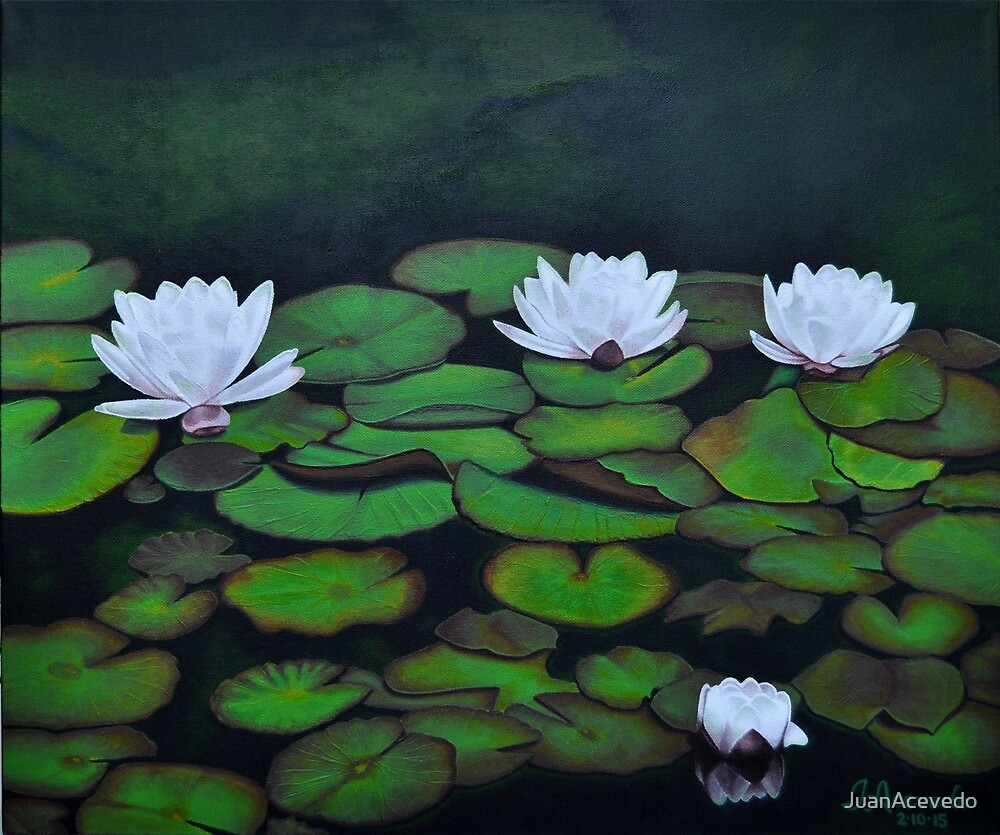 Water Lily Flowers Acrylic Painting By Juanacevedo Redbubble