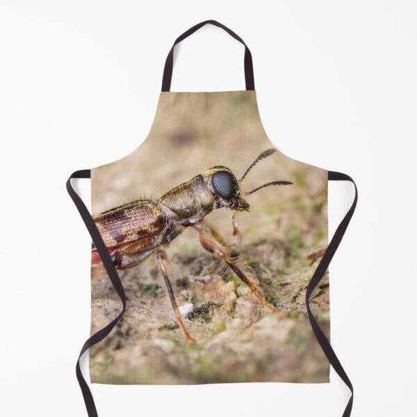 Item preview, A checkered beetle (Cleridae) designed and sold by AvonPerception.