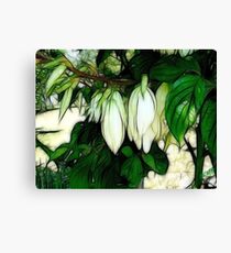 Fairyland Canvas Print