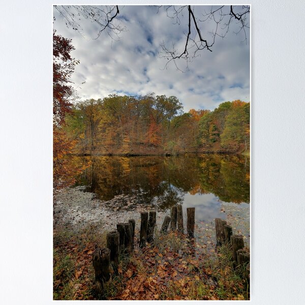 Item preview, Shades of Fall designed and sold by Mark Cooper Photography.
