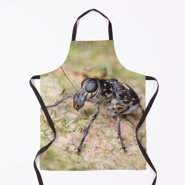 Item preview, A fungus weevil (Anthribidae) designed and sold by AvonPerception.