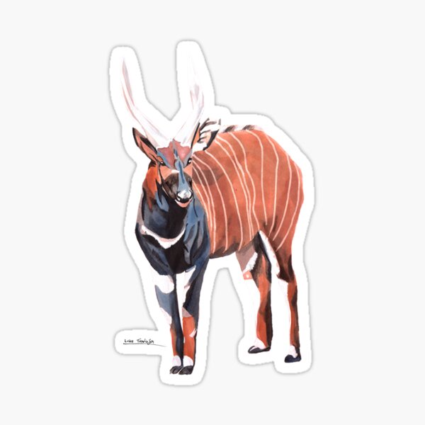 Vista previa del artículo con la obra «Bongo - Antílope», diseñado y vendido por Luke Tomlinson Artwork.