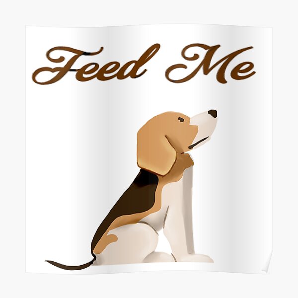 Beagle Poster