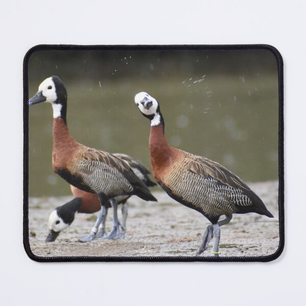 Item preview, What you looking at!  designed and sold by SaraTomlinson55.