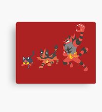 Litten Evolution Canvas Print