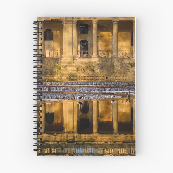 Item preview, Golden Pulteney Weir designed and sold by Rowena Ko.