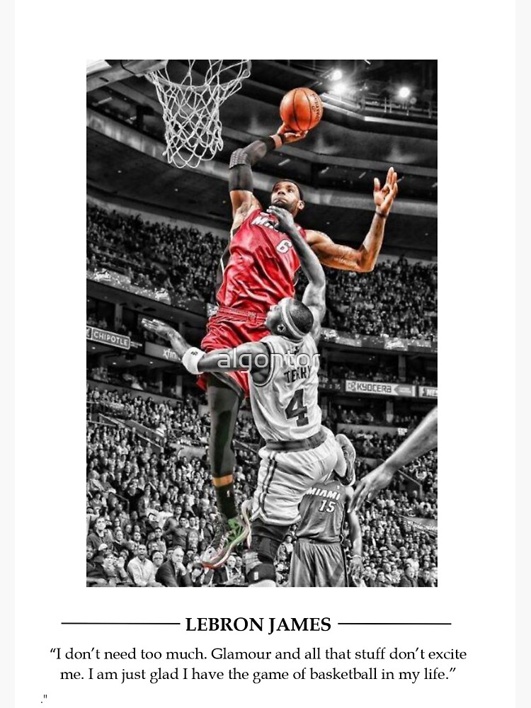 Lebron james poster miami