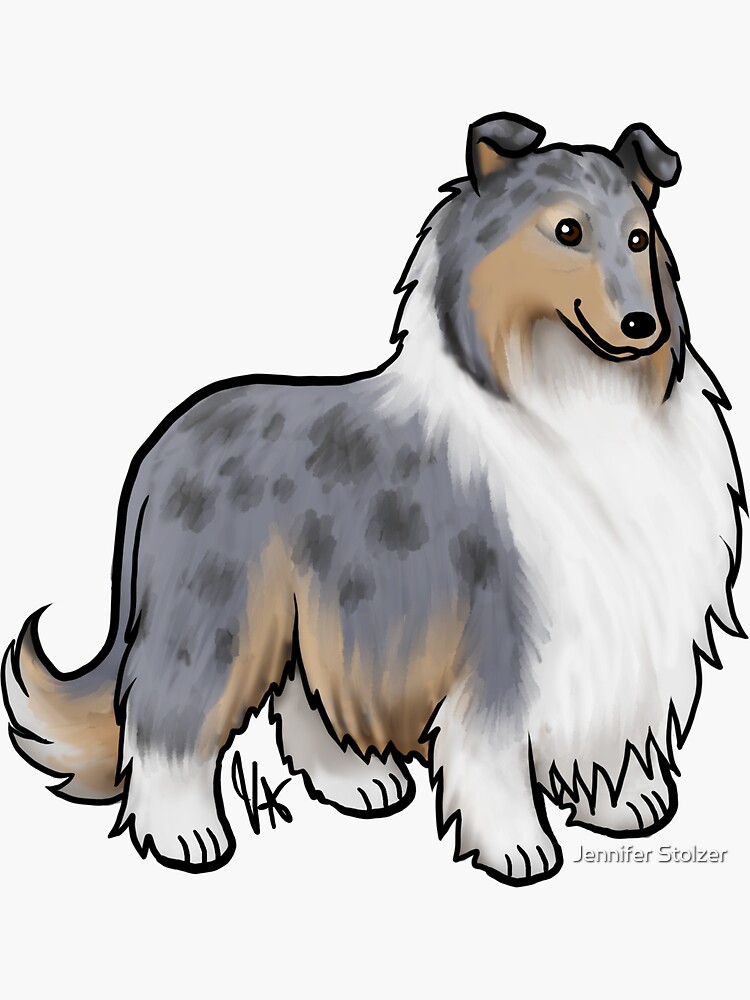 Rough store collie blue