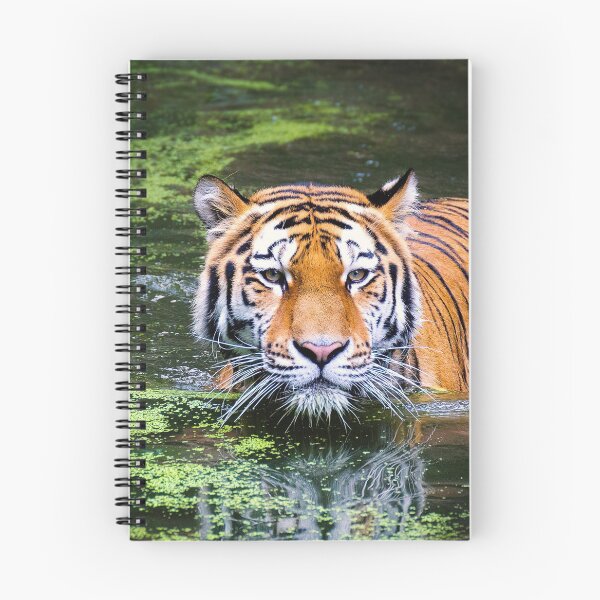 Item preview, Swamp tiger  designed and sold by Md1982.