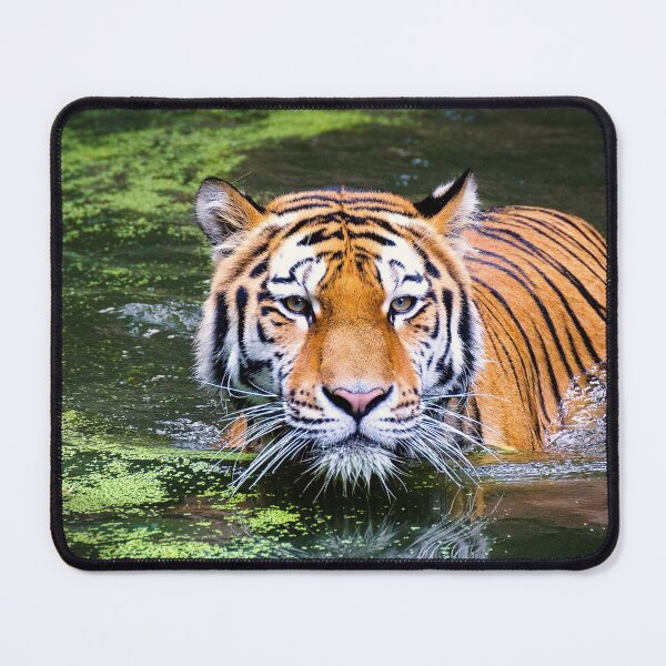 Item preview, Swamp tiger  designed and sold by Md1982.