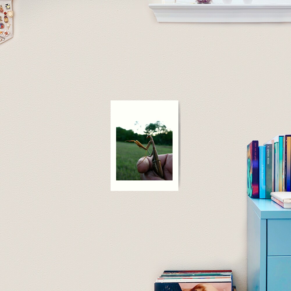 Item preview, Art Print designed and sold by alvinsan9.