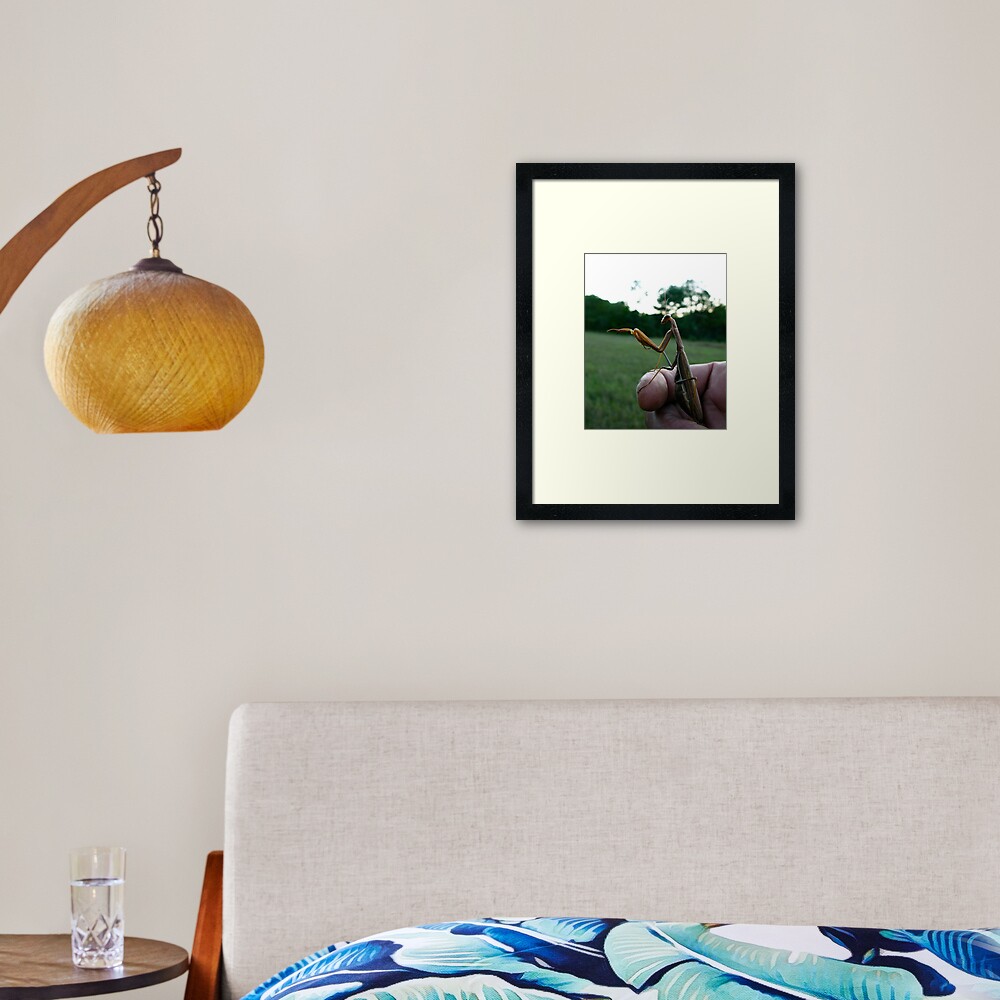 Item preview, Framed Art Print designed and sold by alvinsan9.